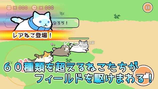 猫猫公园新版(Cats Team Online: Multiplayers)
