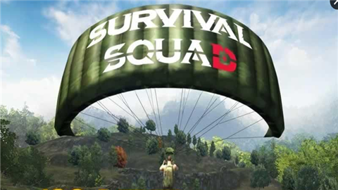 生存小队组队版(survival squad)