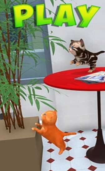 沙雕猫模拟器