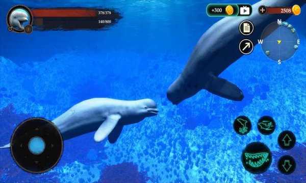 白鲸模拟器