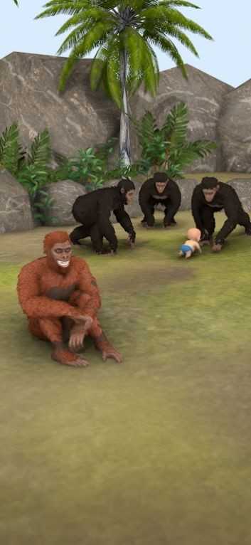 猿的进化
