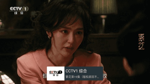普2茶TV电视版