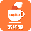 茶杯狐(cupfox)