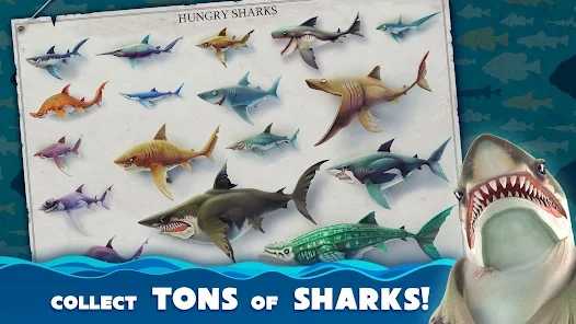 饥饿鲨世界最新版无限珍珠钻石(Hungry Shark)
