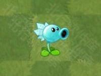 植物大战僵尸亚马逊版19