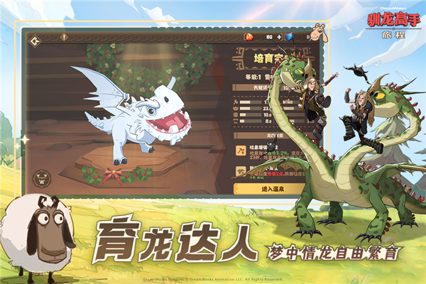 驯龙高手旅程图片