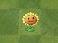 植物大战僵尸亚马逊版14