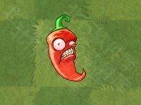 植物大战僵尸亚马逊版23