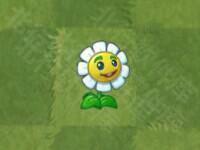 植物大战僵尸亚马逊版18