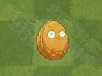 植物大战僵尸亚马逊版16