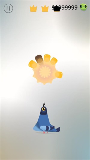 疯狂的鸽子官方版