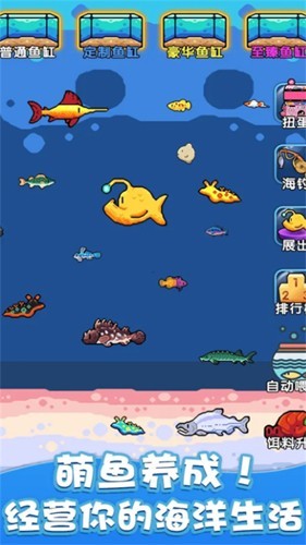 快来养鱼无广告版 安卓版v1.0