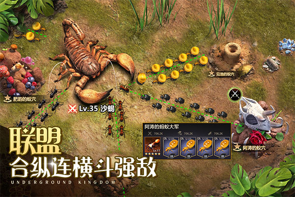 小小蚁国哔哩哔哩客户端