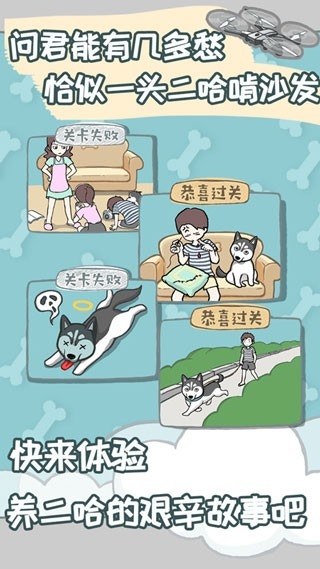 养只二哈不容易游戏官方版