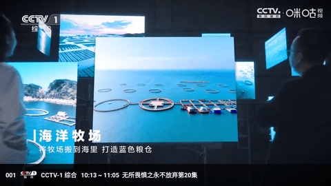 冰茶蜂蜜APP官方免费版