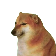 Mango社区安卓版