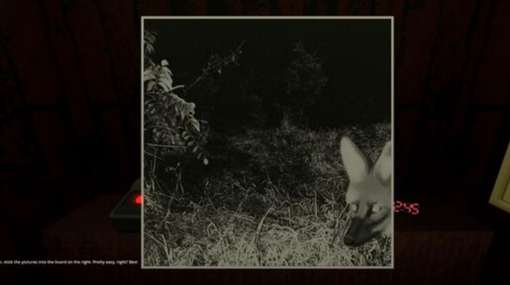 动物观察员游戏安卓版