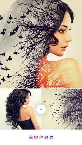 Photo Lab最新版本