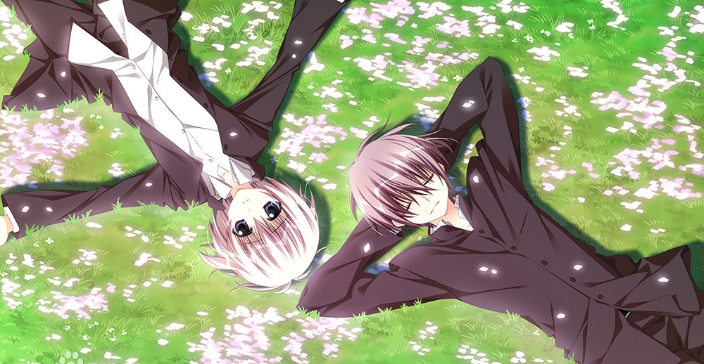 sakura游戏最新版