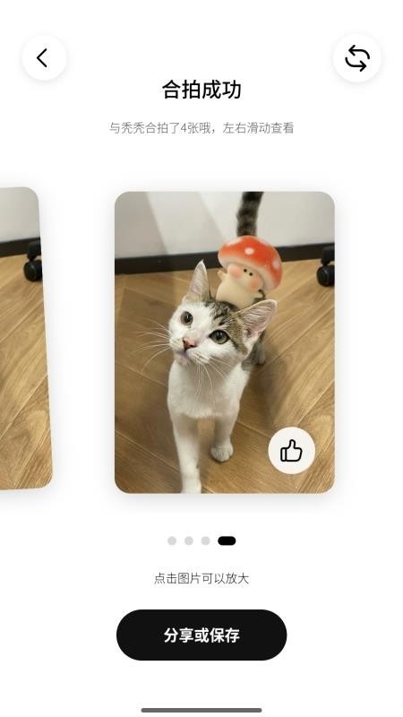 Picaaland桌宠最新版