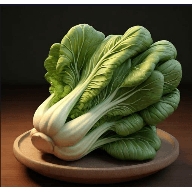 老谭酸菜电视最新版