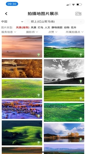 哪拍网app手机版