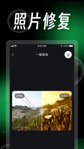 蛋糕云修官方版