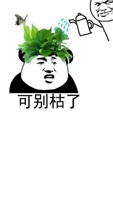 她他社2026最新版