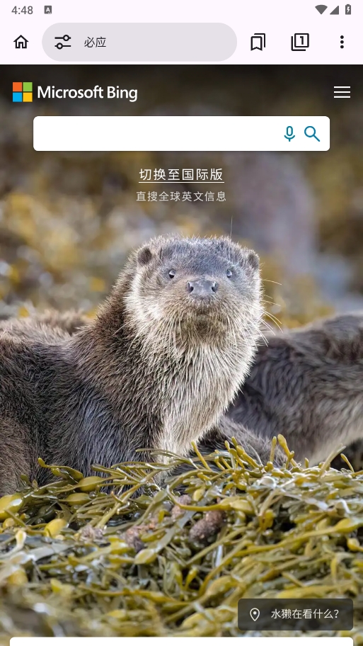 EX浏览器APP官方版