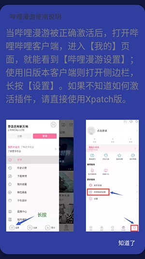 哔哩哔哩灰色模块版最新版本