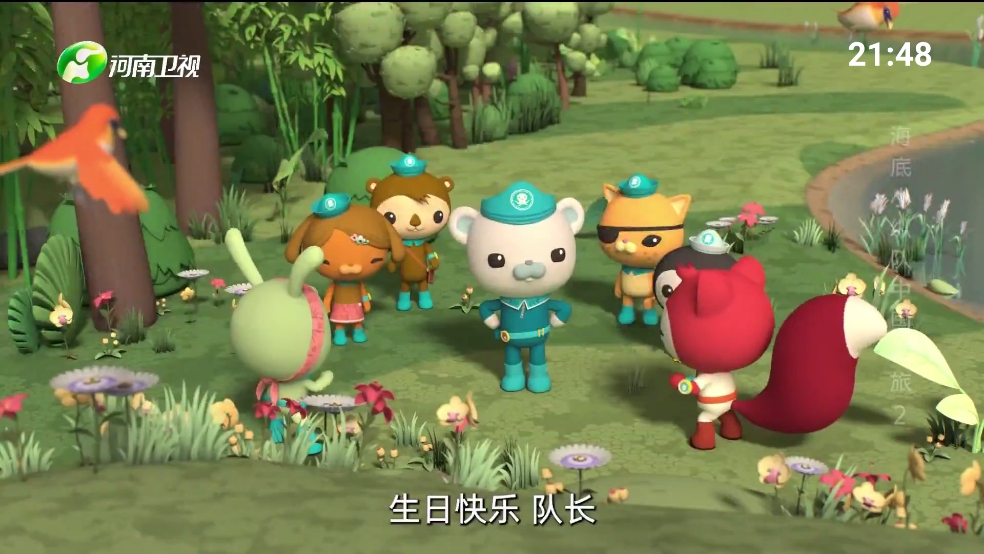 我的电视一2026最新版本