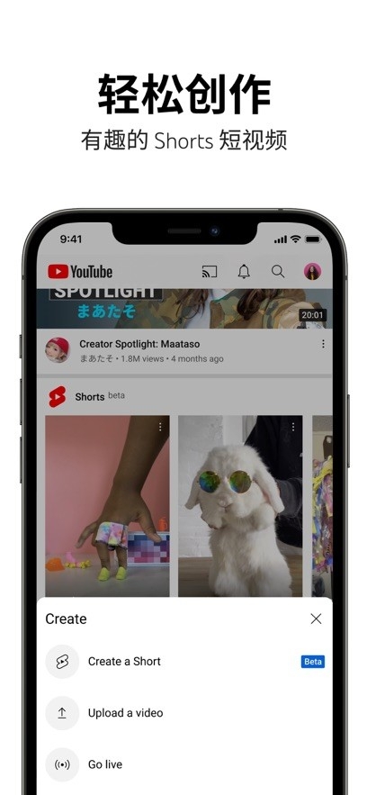 油管国际版免费2026最新版