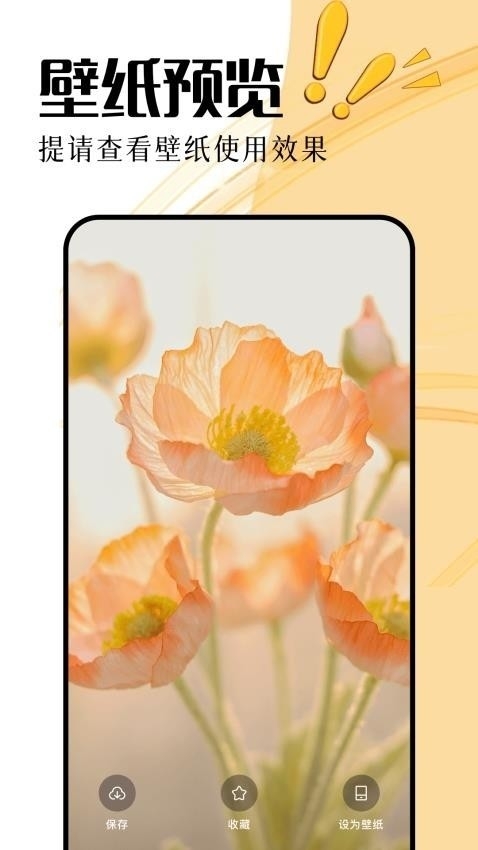 无颜之月壁纸app官方版