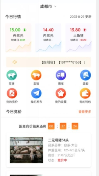 好多猪生猪交易平台