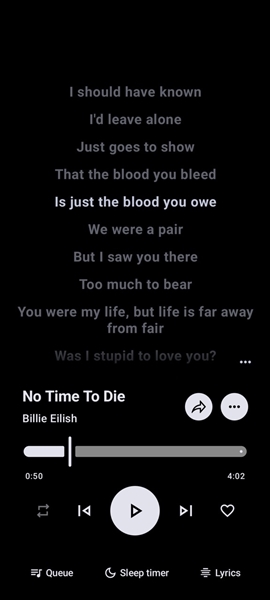 Metrolist开源音乐播放器