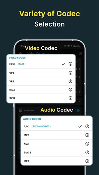 video convertervip高级版