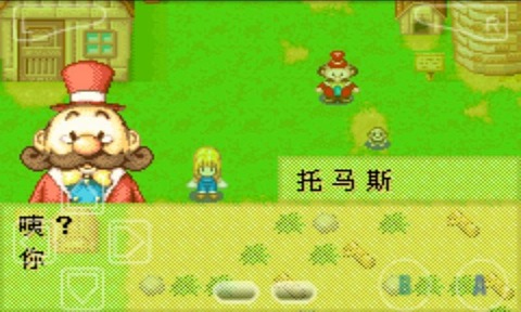 牧场物语女孩版中文版