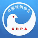 中国信鸽协会app