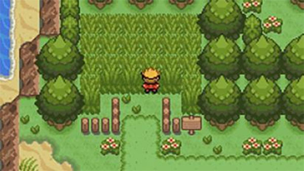 口袋妖怪釉色中文版