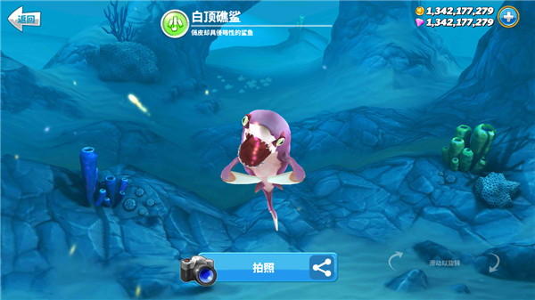 HungrySharkworld国际版