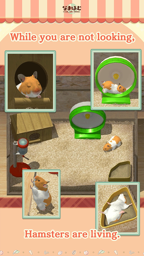 我的仓鼠游戏官方正版