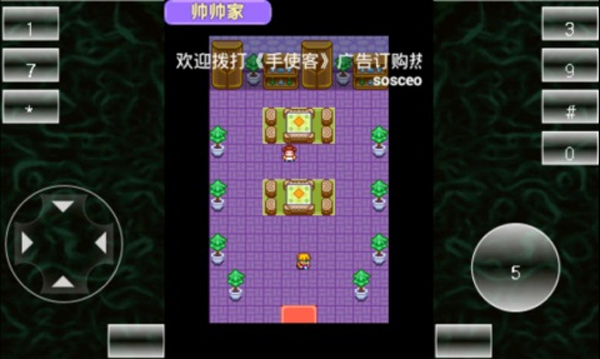 宠物王国2紫游戏