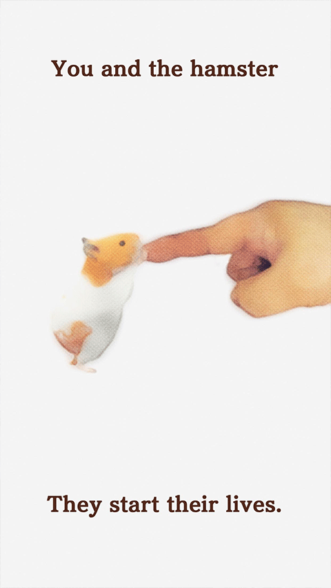 我的仓鼠游戏官方正版