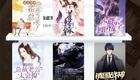 番趣免费小说app正版