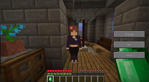 珍妮模组直装版