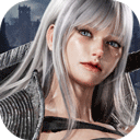 暗月十二正式版