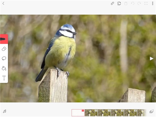 FlipaClip高级版10