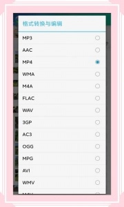 风云格式工厂正版