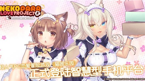 猫娘乐园2冷狐版r18