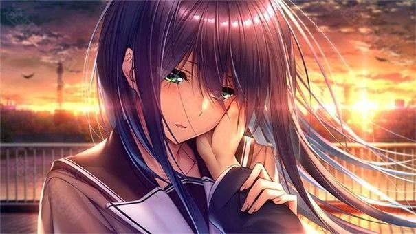 甜蜜女友2安卓直装2.0汉化版